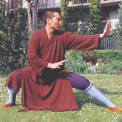 Deux moines de Shaolin à Paris