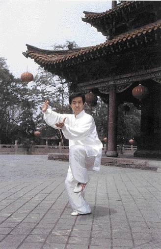 Maître Chen Zhenglei